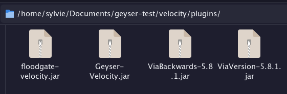What my plugins folder looked like