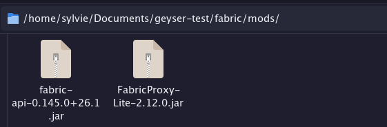 What my mods folder looked like